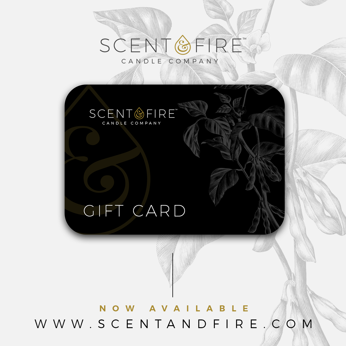   Gift Card for any amount in a Fireplace